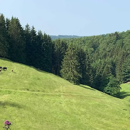 Romantikhuette Neuastenberg Tatil Evi Winterberg