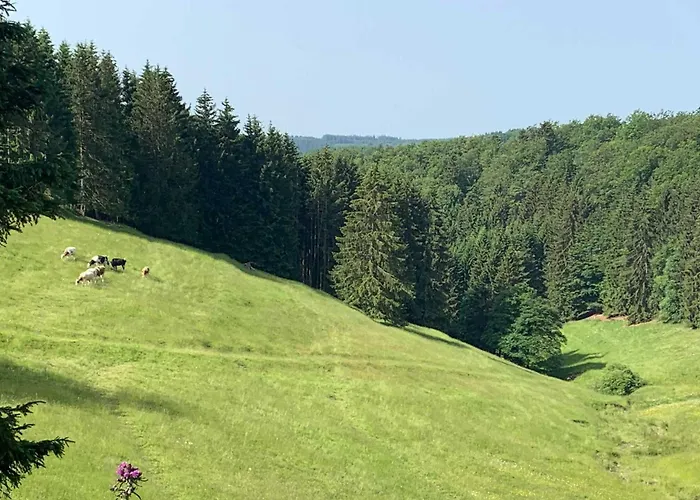 Romantikhütte Neuastenberg Сasa de vacaciones Winterberg
