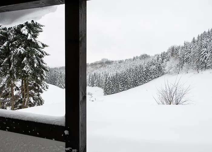 Сasa de vacaciones Romantikhütte Neuastenberg